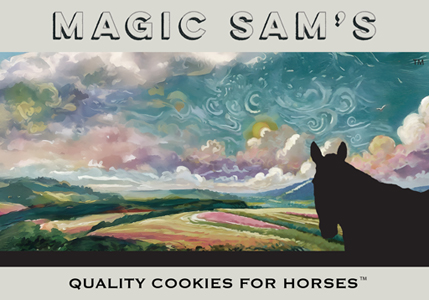 magicsams-logo
